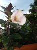 20160802_085743