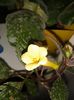 20160802_090204