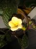 20160802_090209
