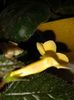 20160802_090216