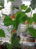 20160802_090231