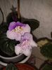 20160802_090351