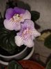 20160802_090356