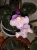 20160802_090401