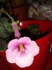 20160802_090412
