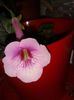 20160802_090416