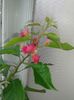 20160802_090508