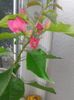 20160802_090513