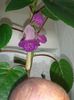 20160802_093218