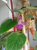 20160802_093252