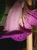 20160802_093306