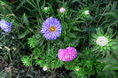 IMG_20160802_183246