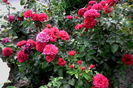 IMG_20160802_183025