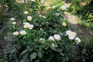 IMG_20160802_182946