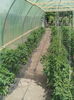 IMG_20160529_110503