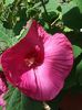 20160803_111036
