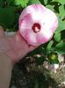 20160803_111114