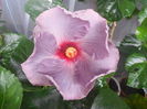 DSCN1178
