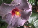WIN_20160803_122056