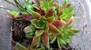 WP_20160619_19_22_58_Pro