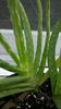 WP_20160712_20_21_21_Pro