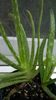 WP_20160712_20_21_27_Pro
