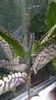 WP_20160712_20_23_00_Pro