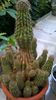 WP_20160710_18_00_58_Pro