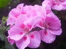 DSCN1166