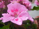 DSCN1167