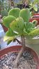 WP_20160710_18_10_23_Pro
