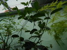 DSCN4470
