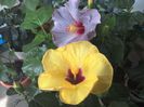 WIN_20160804_100718