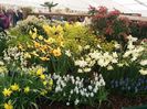 IMG_20160416_133020