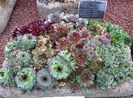 IMG_20160416_155352