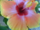 049