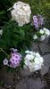 WP_20160804_128