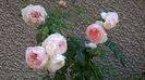WP_20160801_018