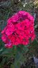 WP_20160801_066
