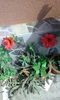 IMG_20160628_111731