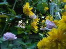 DSCN4497