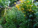 DSCN4518