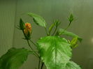 DSCN4563