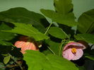 DSCN4566
