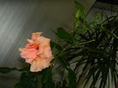 DSCN4597