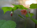 DSCN4624