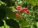 DSCN4634