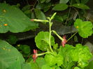 DSCN4637