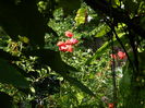 DSCN4639