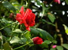 DSCN4646
